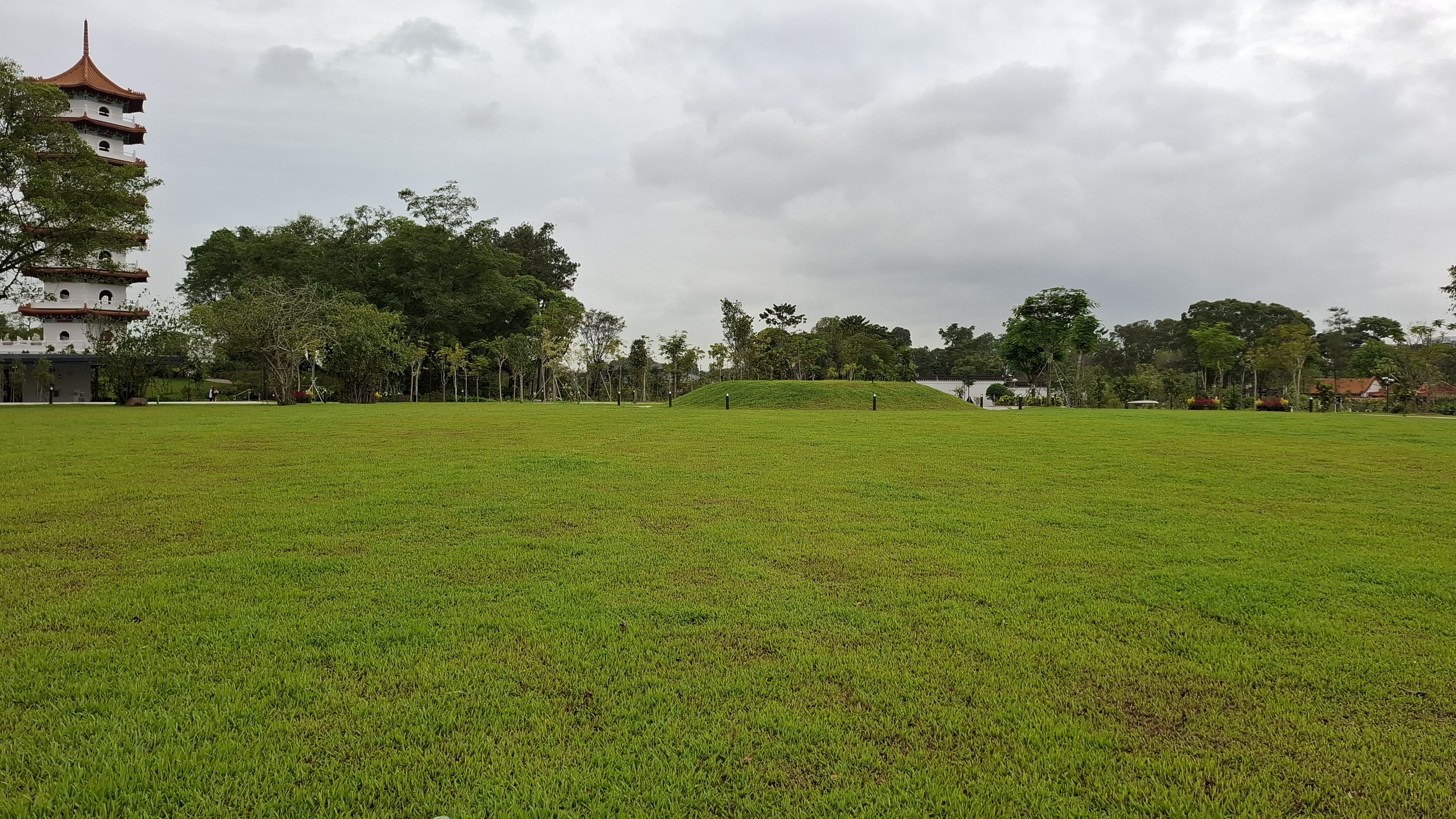Ficus Lawn at Jurong Lake Gardens