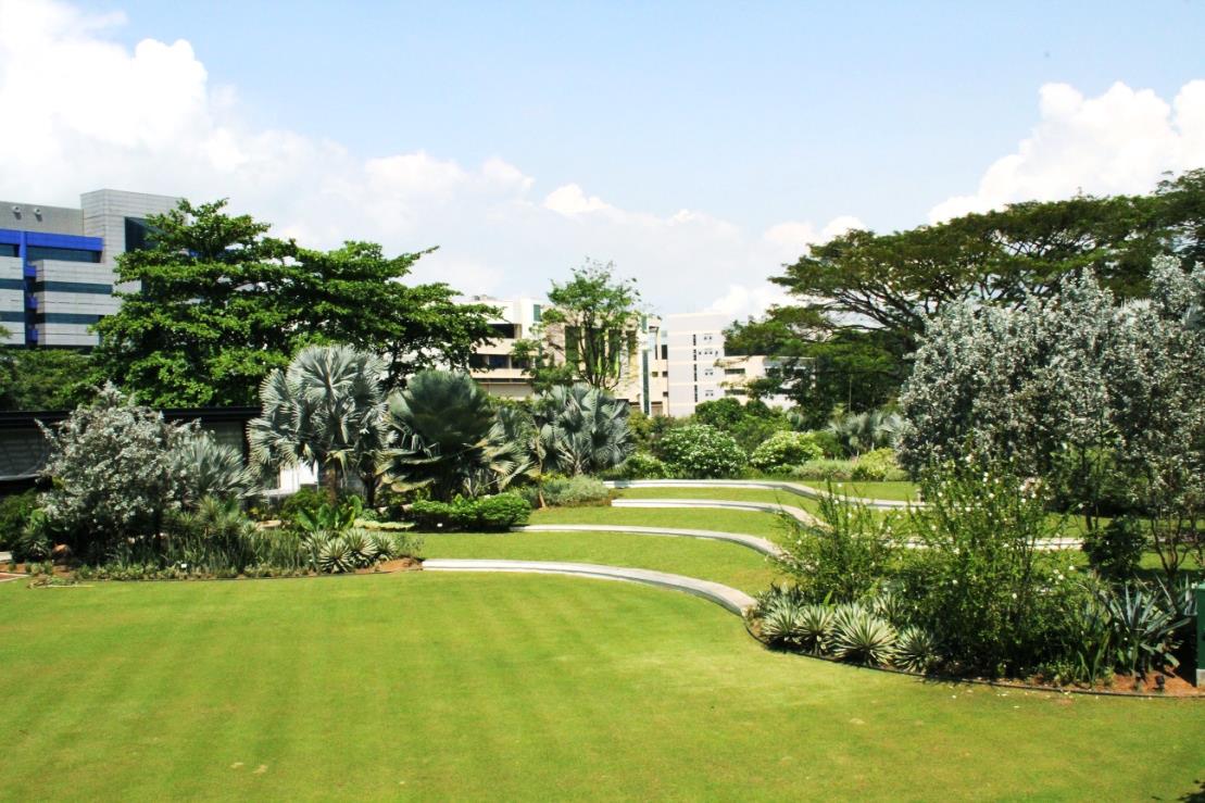 HortLawn at HortPark, photograph 5 of 5