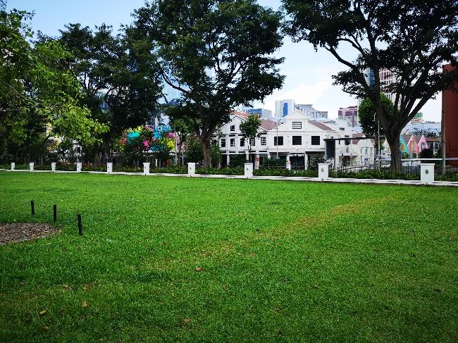 Lawn @ The Foothills at Fort Canning Park