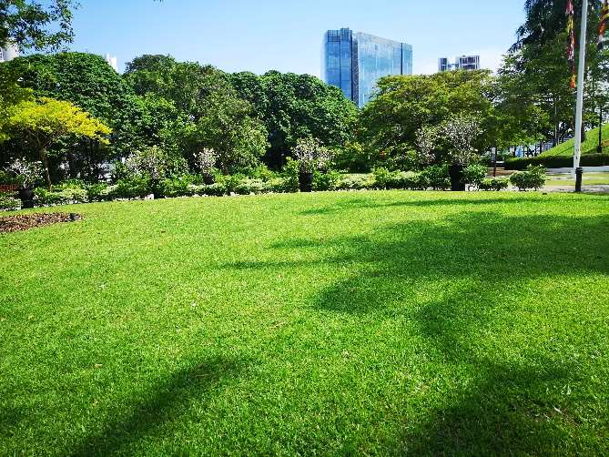 Raffles Garden at Fort Canning Park, photograph 2 of 4