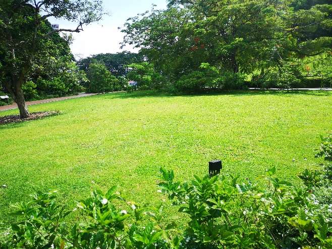 Raffles Garden at Fort Canning Park, photograph 3 of 4